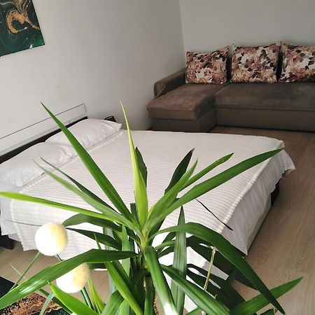 Apartament Garsoniera REBECCA Tîrgu Ocna Zewnętrze zdjęcie