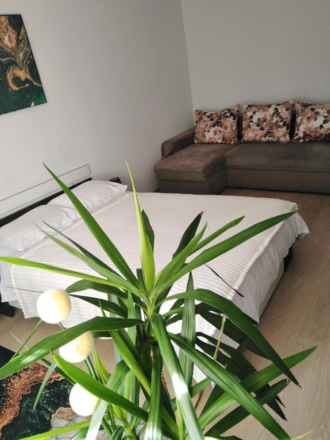Apartament Garsoniera REBECCA Tîrgu Ocna Zewnętrze zdjęcie